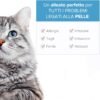 Argento Colloidale Spray 100% Naturale per Animali (Cani, Gatti) Tutto in 1 | Guarigione | Disinfettante | Rimedi Antipruriginosi (Dermatiti, Acari) per Pelle, Occhi, Orecchie, Naso.