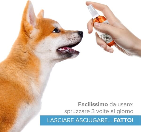 Argento Colloidale Spray 100% Naturale per Animali (Cani, Gatti) Tutto in 1 | Guarigione | Disinfettante | Rimedi Antipruriginosi (Dermatiti, Acari) per Pelle, Occhi, Orecchie, Naso.