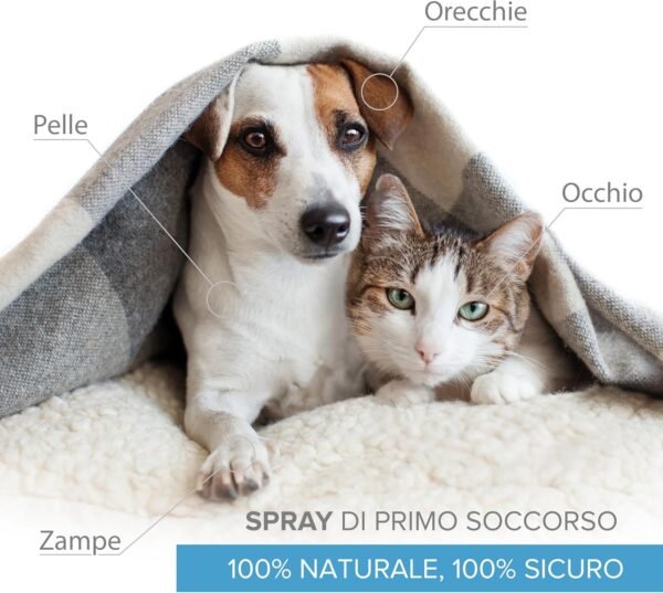 Argento Colloidale Spray 100% Naturale per Animali (Cani, Gatti) Tutto in 1 | Guarigione | Disinfettante | Rimedi Antipruriginosi (Dermatiti, Acari) per Pelle, Occhi, Orecchie, Naso.
