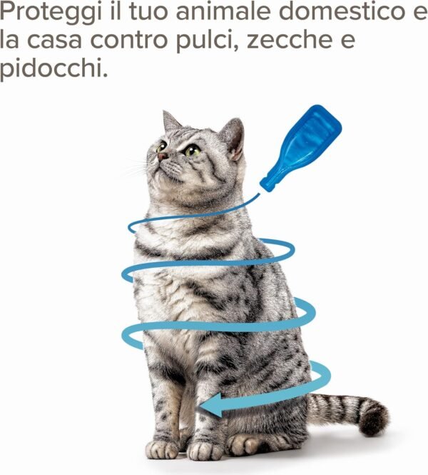 Beaphar COMBOTEC Antiparassitario per Gatti, Protegge da Pulci, Zecche, Uova, Larve e Anche la Casa - Confezione da 3 Pipette