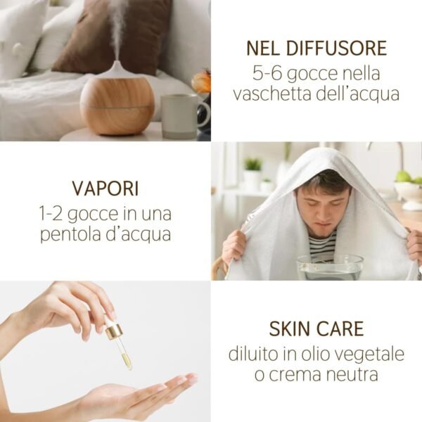 Il Labirinto Officinale Olio Essenziale Puro di Menta Piperita Italiana - Oli Essenziali Naturali - Olio Essenziale per Diffusori e Umidificatori, Aromaterapia - 10 ml