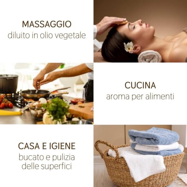 Il Labirinto Officinale Olio Essenziale Puro di Menta Piperita Italiana - Oli Essenziali Naturali - Olio Essenziale per Diffusori e Umidificatori, Aromaterapia - 10 ml