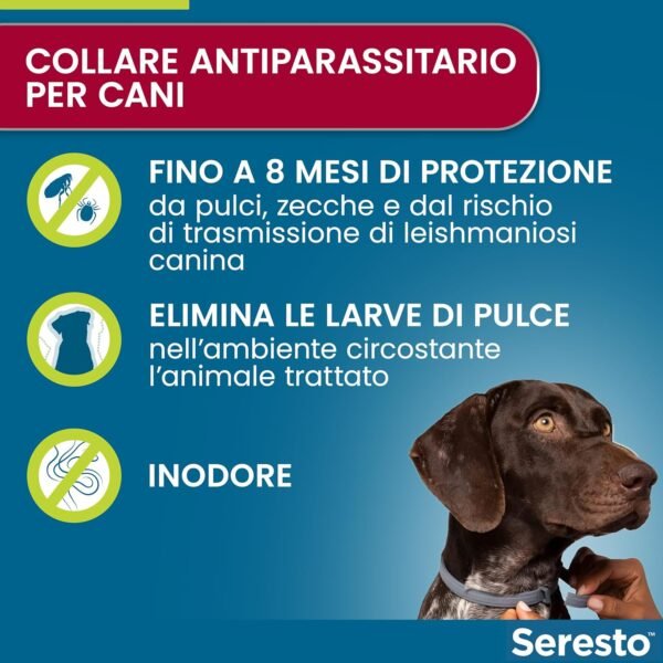 Elanco Seresto Collare Antiparassitario per Cani Oltre 8 kg, Elimina Pulci, Zecche, Pidocchi e Protegge dal Rischio di Trasmissione, Leishmaniosi Fino a 8 Mesi, 1 Pezzo