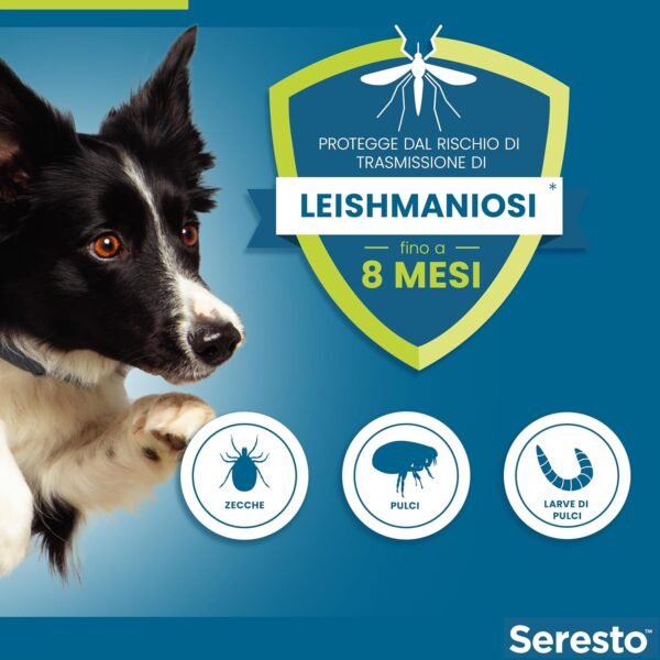 Elanco Seresto Collare Antiparassitario per Cani Oltre 8 kg, Elimina Pulci, Zecche, Pidocchi e Protegge dal Rischio di Trasmissione, Leishmaniosi Fino a 8 Mesi, 1 Pezzo