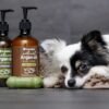 1760770566_81IYk2Rx-uL._AC_SL1500_.jpg Shampoo per cani all'avena - Per pelli secche sensibili - Effetto calmante e nutriente - Shampoo per cani Flamingo Argan