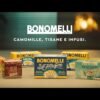 Bonomelli - Infusi Fruttati, Lampone e Ribes Rosso, Confezione da 12 Filtri, Gusto Rinfrescante e Leggermente Acido, Infuso Caldo e Freddo, Ingredienti 100% Naturali (24g)
