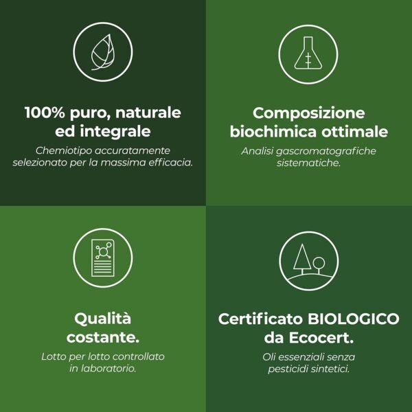 1760984196_710tG5UD4-L._AC_SL1500_.jpg Menta piperita biologica (Mentha x Piperita) – 10 ml – Olio essenziale chemiotipizzato e certificato AB – Digestione – Aroma Labs – Prodotto in Francia