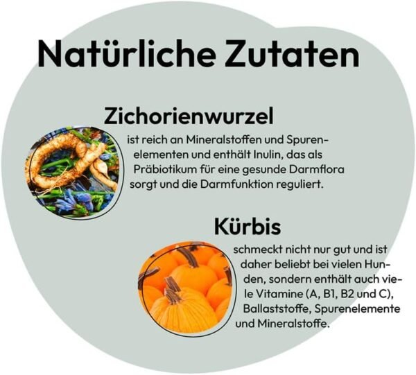 GRAU L'original, Miscela di Frutta e Verdura Secca per Alimenti Naturali Integrati (BARF) "Composto N. 1" Integratore Alimentare per Cani, 1 x 150g