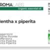 61GRNSGb7L._AC_SL1500_.jpg Menta piperita biologica (Mentha x Piperita) – 10 ml – Olio essenziale chemiotipizzato e certificato AB – Digestione – Aroma Labs – Prodotto in Francia