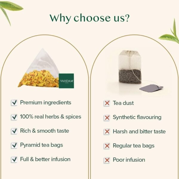 VAHDAM, Tisana con Zenzero e Curcuma (100 Bustine Piramidali) Senza Caffeina | 100% Infusi e Tisane Assortiti dal Gusto Piccante | in bustina richiudibile con chiusura ermetica