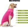 HEYWEAN Body post-operatorio per cani Body post-operatorio per cani Body chirurgico femminile Pigiama per cani per cani Pigiama per cani Sterilizzazione per cani T-shirt per cani
