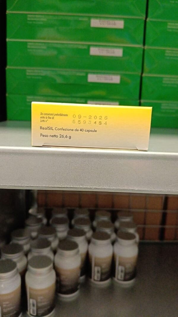 RealSIL Integratore Antiossidante con Vitamina E e Cardo Mariano 40 Capsule