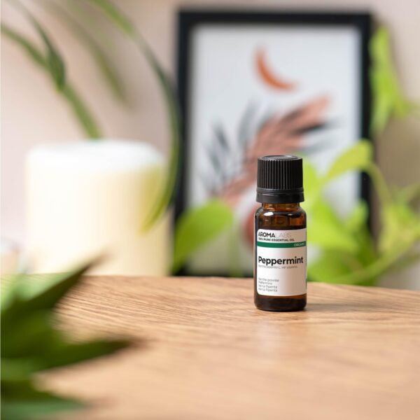 61H25S7dMOL._AC_SL1500_.jpg Menta piperita biologica (Mentha x Piperita) – 10 ml – Olio essenziale chemiotipizzato e certificato AB – Digestione – Aroma Labs – Prodotto in Francia