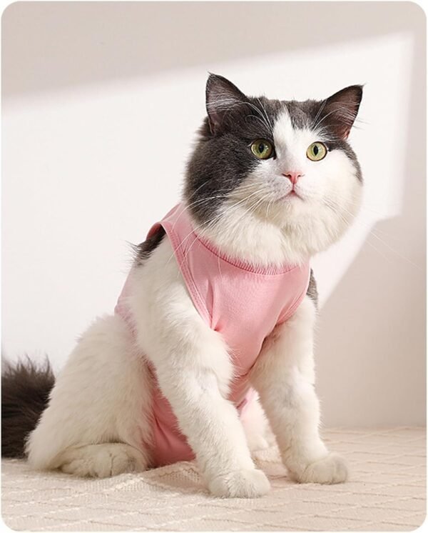 Body per sterilizzazione post-operatoria per gatti Eyeleaf post-operatorio per ferite addominali o malattie della pelle per prevenire le ferite da leccatura L