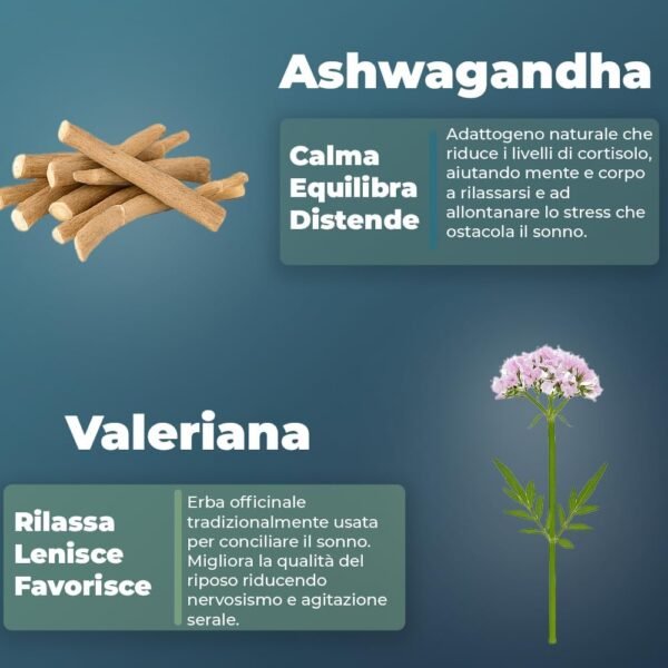 Dormia Sahevia Integratore Naturale per il Sonno con Ashwaghanda, Valeriana, Passiflora, Gaba Favorisce il Sonno, Contro l'Insonnia e i Risvegli Notturni - 120 Capsule