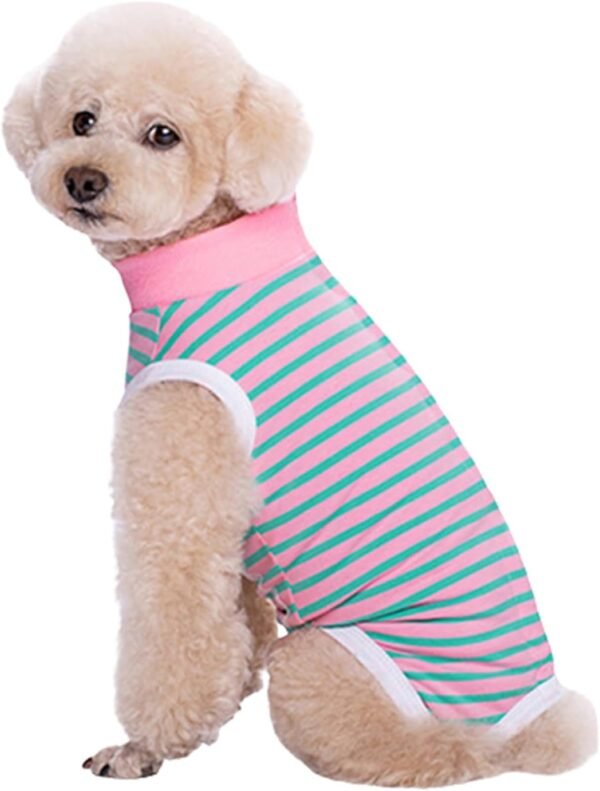 61hUz-1yPNL._AC_SL1500_.jpg Wisebom Tuta da recupero per cani, Tuta da recupero per cani dopo l'intervento chirurgico Sterilizzazione Cani Chirurgia Cura chirurgica Body post-operatorio Corpo per cani (S)