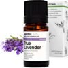 Lavanda Vera Biologica (Lavandula Officinalis) – 5 ml – Olio Essenziale Chemiotipizzato e Certificato AB – Aroma Labs – Prodotto in Francia