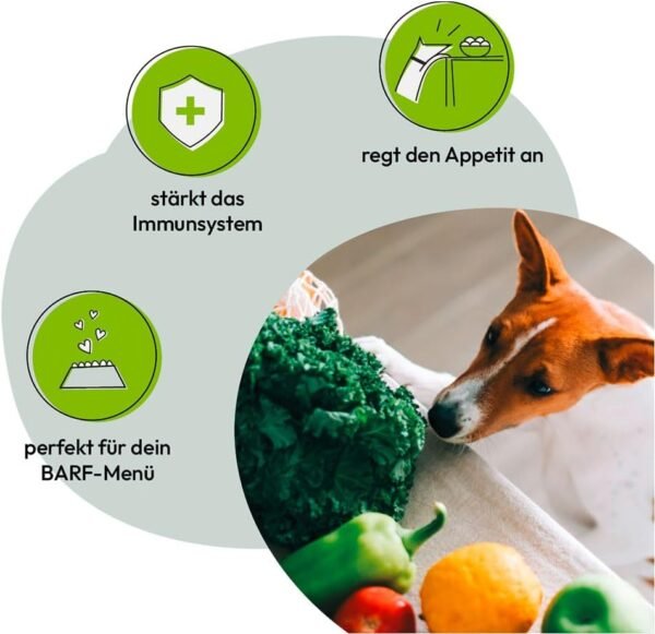 GRAU L'original, Miscela di Frutta e Verdura Secca per Alimenti Naturali Integrati (BARF) "Composto N. 1" Integratore Alimentare per Cani, 1 x 150g