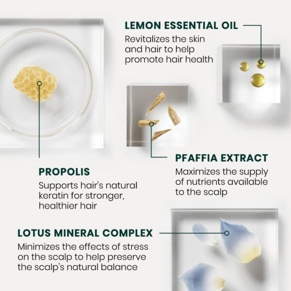 Trattamento Trifasico Anticaduta RF80 12 Fiale