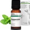 61vexvDMTrL._AC_SL1500_.jpg Menta piperita biologica (Mentha x Piperita) – 10 ml – Olio essenziale chemiotipizzato e certificato AB – Digestione – Aroma Labs – Prodotto in Francia