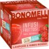 Bonomelli - Infusi Fruttati, Lampone e Ribes Rosso, Confezione da 12 Filtri, Gusto Rinfrescante e Leggermente Acido, Infuso Caldo e Freddo, Ingredienti 100% Naturali (24g)