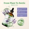 71-oz3n-VqL._AC_SL1500_.jpg SVA ORGANICS Olio essenziale di lavanda naturale al 100% - Olio aromatico di grado terapeutico, fluido da 4 once con contagocce | Oli naturali per aromaterapia