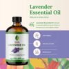 711HC9dvxfL._AC_SL1500_.jpg SVA ORGANICS Olio essenziale di lavanda naturale al 100% - Olio aromatico di grado terapeutico, fluido da 4 once con contagocce | Oli naturali per aromaterapia
