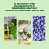 715fo89YsJL._AC_SL1139_.jpg Mind The Gum Supplemento rilassante e calmante - 27 gomme da masticare | Integratori per la mente contro ansia, stress e stanchezza mentale | Con Melissa, Teanina e Biancospino