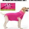 HEYWEAN Body post-operatorio per cani Body post-operatorio per cani Body chirurgico femminile Pigiama per cani per cani Pigiama per cani Sterilizzazione per cani T-shirt per cani