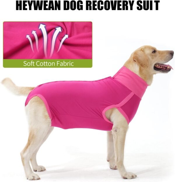 HEYWEAN Body post-operatorio per cani Body post-operatorio per cani Body chirurgico femminile Pigiama per cani per cani Pigiama per cani Sterilizzazione per cani T-shirt per cani