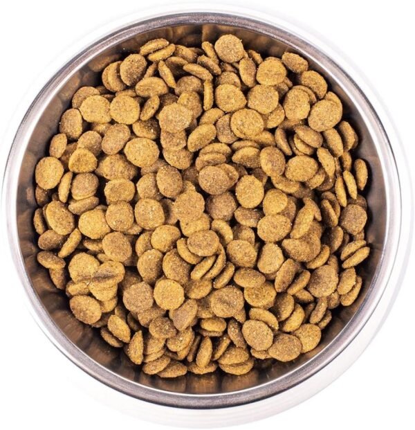 Gatto Monge - pollo adulto 10kg