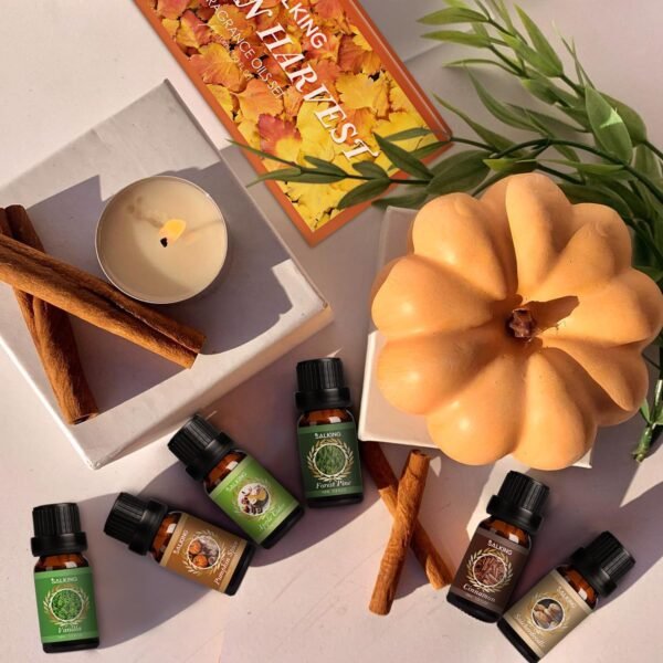 SALKING Oli Essenziali Autunnali per Diffusori 6x10ml, Set di Oli Essenziali Puri per Aromaterapia e Massaggi - Vaniglia, Torta di Zucca, Snickerdoodle, Sidro di Mele, Pino Silvestre, Mais Dolce