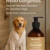 71DfPgR4jZL._AC_SL1500_.jpg Shampoo per cani all'avena - Per pelli secche sensibili - Effetto calmante e nutriente - Shampoo per cani Flamingo Argan