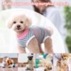 71E8vH441kL._AC_SL1500_.jpg Wisebom Tuta da recupero per cani, Tuta da recupero per cani dopo l'intervento chirurgico Sterilizzazione Cani Chirurgia Cura chirurgica Body post-operatorio Corpo per cani (S)