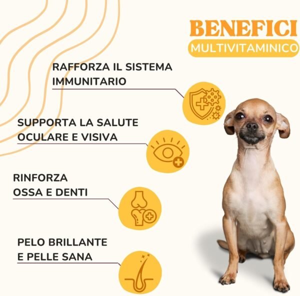 71E9MLhElmL._AC_SL1500_.jpg Lamina Care - Multivitamine per cani e gatti per supportare il sistema immunitario, le articolazioni, le difese, la salute degli occhi, delle ossa, dei denti, del pelo e della pelle, Integratori per cani con vitamine ABCD ed E