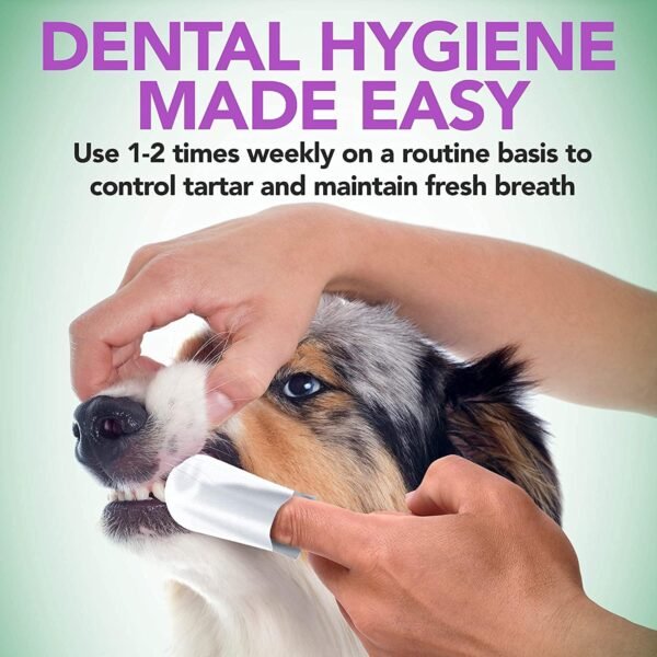 71KGjhfgfES._AC_SL1500_.jpg Vet's Best Salviette per la cura dei denti - Riducono la placca e rinfrescano l'alito - Salviette per la pulizia dentale di cani e gatti - 50 salviette usa e getta