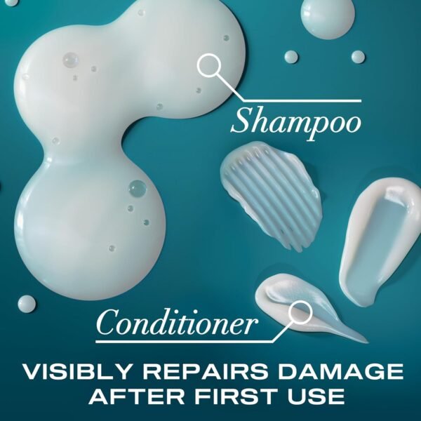 Set shampoo e balsamo OGX Renewing + Argan Oil of Morocco, 375 ml (la confezione può variare), blu