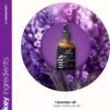 Art Naturals Set di 3 oli di lavanda con flacone di olio di lavanda da 10 ml e flacone Zen esclusivo da 10 ml, 120 ml