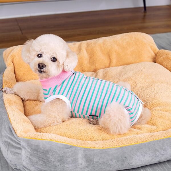 71Q3wj8UwPL._AC_SL1500_.jpg Wisebom Tuta da recupero per cani, Tuta da recupero per cani dopo l'intervento chirurgico Sterilizzazione Cani Chirurgia Cura chirurgica Body post-operatorio Corpo per cani (S)