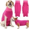 HEYWEAN Body post-operatorio per cani Body post-operatorio per cani Body chirurgico femminile Pigiama per cani per cani Pigiama per cani Sterilizzazione per cani T-shirt per cani