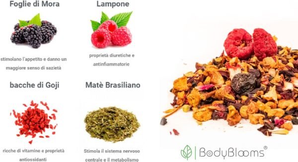 Bodyblooms Tisana Drenante e Snellente al Gusto Lampone | Infusi Pancia e Addome Donne/Uomini | Tè e Infusi Freddi e Caldi | Tisana Fredda e Calda | Infusi Freddi 100 g con Frutta in