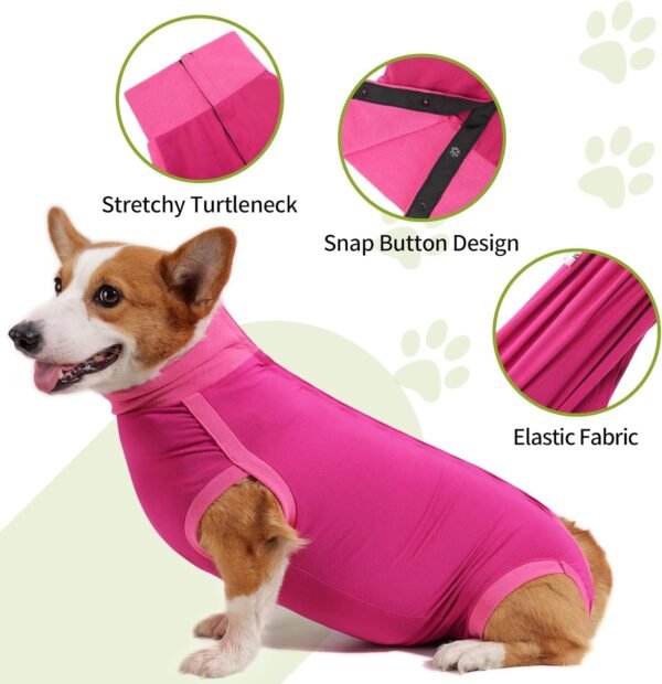 HEYWEAN Body post-operatorio per cani Body post-operatorio per cani Body chirurgico femminile Pigiama per cani per cani Pigiama per cani Sterilizzazione per cani T-shirt per cani