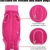 HEYWEAN Body post-operatorio per cani Body post-operatorio per cani Body chirurgico femminile Pigiama per cani per cani Pigiama per cani Sterilizzazione per cani T-shirt per cani