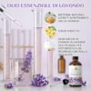 71kizbQtWZL._AC_SL1500_.jpg EVOKE OCCU Olio essenziale di lavanda 118ml Olio essenziale puro per diffusore, cura della pelle, relax, sonno, capelli, massaggio
