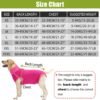 HEYWEAN Body post-operatorio per cani Body post-operatorio per cani Body chirurgico femminile Pigiama per cani per cani Pigiama per cani Sterilizzazione per cani T-shirt per cani