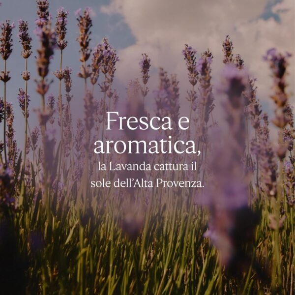 L'OCCITANE - Bagnoschiuma alla Lavanda dell'Alta Provenza - 500 ml - Prodotto in Francia