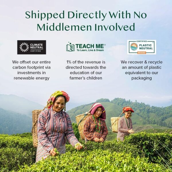 VAHDAM, Tisana con Zenzero e Curcuma (100 Bustine Piramidali) Senza Caffeina | 100% Infusi e Tisane Assortiti dal Gusto Piccante | in bustina richiudibile con chiusura ermetica