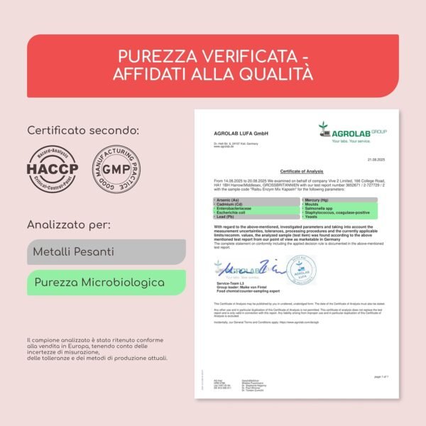 8135eRsZafL._AC_SL1500_.jpg Enzimi Digestivi - Alta Concentrazione di Enzimi: Amilasi, Proteasi, Lattasi, Lipasi, Bromelina, Papaina - Capsule Gastroresistenti - Con Probiotico - 90 Capsule Vegane, Senza Additivi