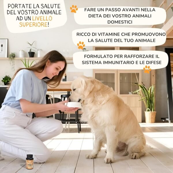 814E0ktzxL._AC_SL1500_.jpg Lamina Care - Multivitamine per cani e gatti per supportare il sistema immunitario, le articolazioni, le difese, la salute degli occhi, delle ossa, dei denti, del pelo e della pelle, Integratori per cani con vitamine ABCD ed E