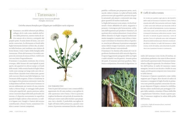 Erbario. Guida completa alle piante officinali e ai loro benefici